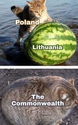 Thread 213844118 OP Image