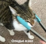 21a14ca56d100fffb3970d5fe437b9b5d5be28800209bc593fbf28f1b20f039b
