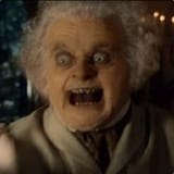 dildo faggins