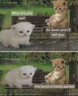 sad kittens joke