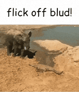 elephant-crocodile