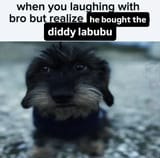2343293840239843