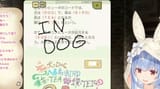 IN DOG