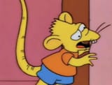 Thread 213855737 OP Image