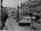 pestsaule-vienna-austria-1863-photoprint-lot-