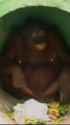 213854357_thumb.jpg