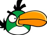 hal