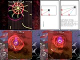 StB&amp;DSComparison