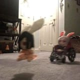 1704700143171423
