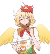 4067