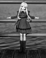 DSC_6484 (2048)