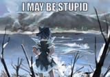 I may be stupid