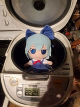 Cirno in a rice cooker