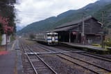 161224_170106_chari009_minami_kyushu_1691