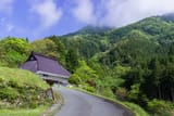 200511_burari_charinko_ooeyama_0028