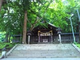 maemiya 1