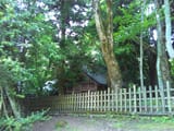 maemiya 2