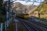 220324_0406_chari016_toubu_chuugoku_3898