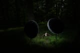 IMG18321