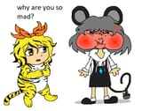 why are you so mad