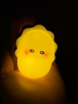 IMG_20250611_085752_656