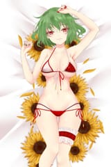twotone underwear