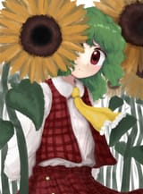 __kazami_yuuka_touhou_drawn_by_hiyoke_at1nk0__c5a97b0ec47a846d9b019c18aff4444f