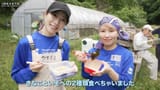 100年天気予報 番外編~田植えで感じる100年後の環境