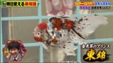 何を隠そう…ソレが！ 250611.mp4_snapshot_08.35.997