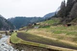 220324_0406_chari016_toubu_chuugoku_2204