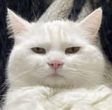 1702169201135851
