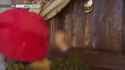 1439376117129[sound=files.catbox.moe%2Fjdp8hi.mp3]_thumb.jpg