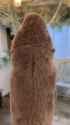 1726246304394372_thumb.jpg