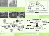 MYTH character charts