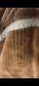 1739937048064094_thumb.jpg