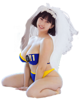 miku exported fallout vault dweller