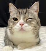 out