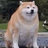 1749580130111693