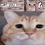 1745607656812463