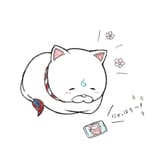 GcRsIQPbYAAjknO