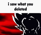 1733143306796720