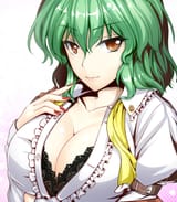 __kazami_yuuka_touhou_drawn_by_y2__2d10566837d7004dd4bbd33aa33cdeff