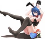 ciel bunny