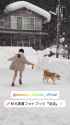 gentosha_official - 3659570688874629186_thumb.jpg