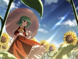 __kazami_yuuka_touhou_drawn_by_yuuki_tatsuya__e9efe7f6bd4e1416a14715104c77ac24