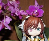 Phal. Sogo Yenlin &#039;Coffee&#039; 2