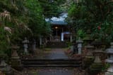 20250325_0406_chari25_bousou_miura_2908