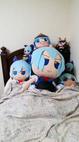 BawkaBeds