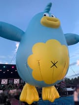 Bigbird