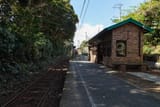 20240320_0323_chari023_choushi_kujuukuri_kururi_0085